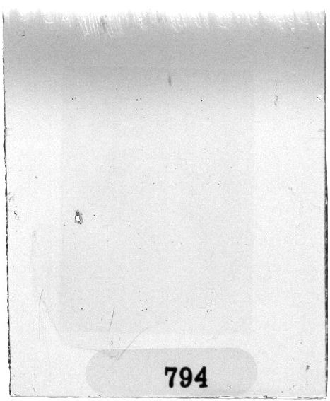 Scan PZT1794
