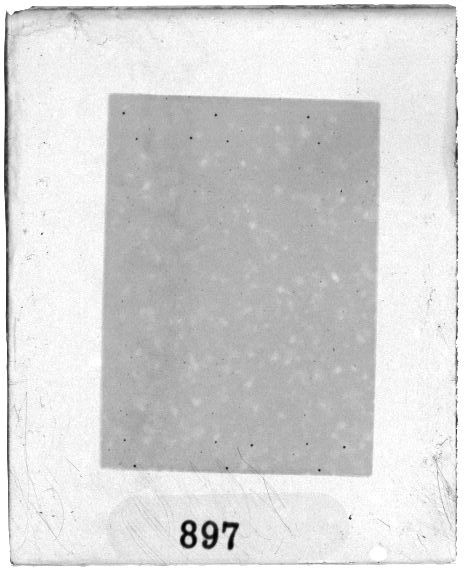 Scan PZT1897