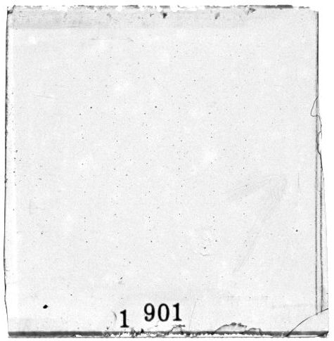 Scan PZT1901