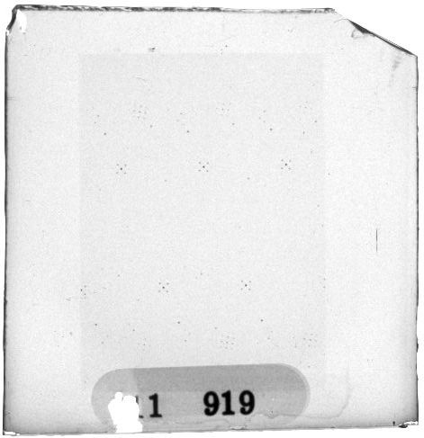 Scan PZT1919