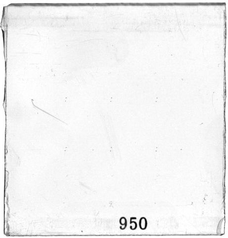 Scan PZT1950