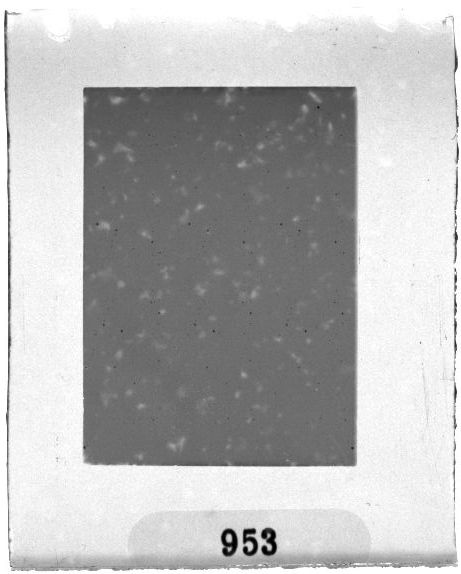 Scan PZT1953