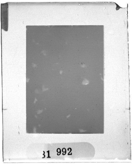 Scan PZT1992