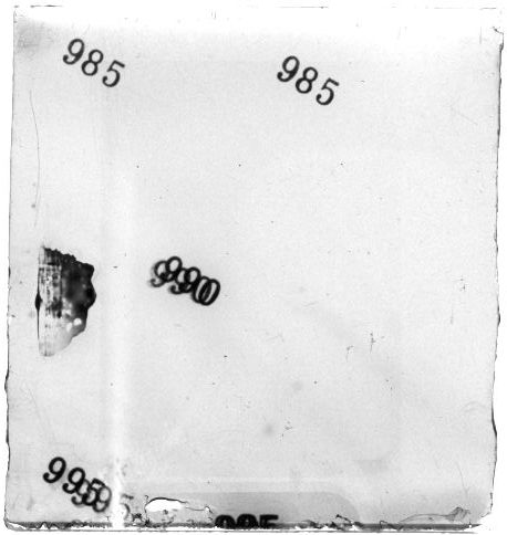 Scan PZT1995