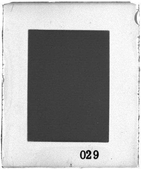 Scan PZT2029