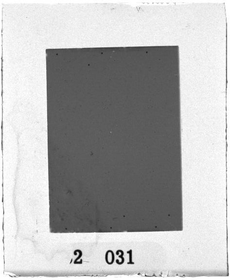 Scan PZT2031