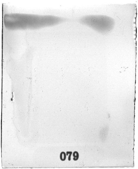 Scan PZT2079