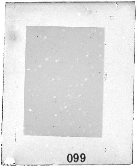 Scan PZT2099