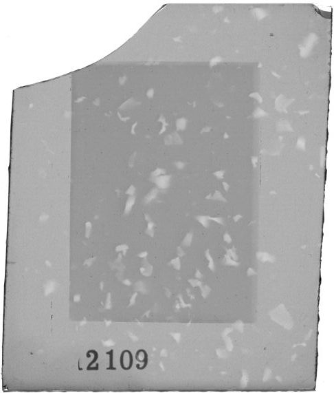 Scan PZT2109