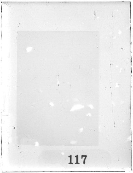 Scan PZT2117
