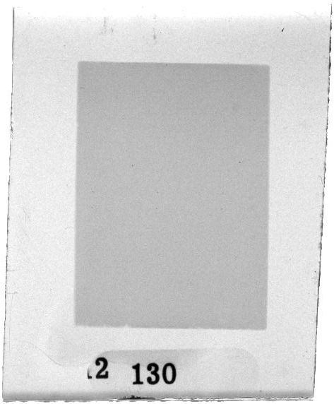 Scan PZT2130