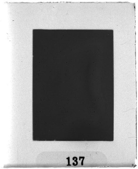 Scan PZT2137