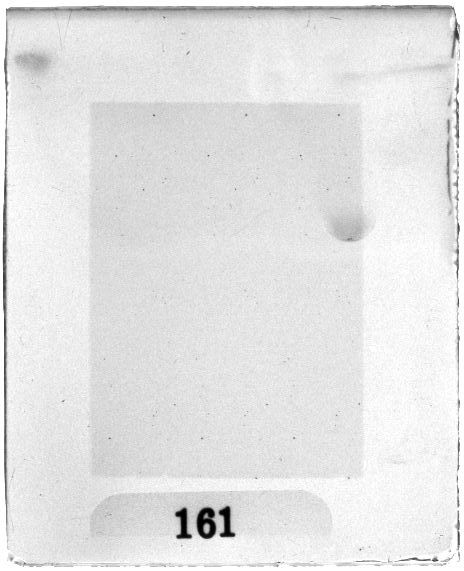 Scan PZT2161