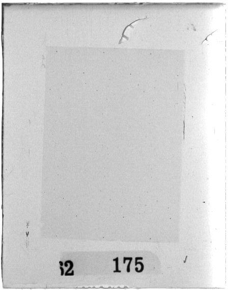Scan PZT2175