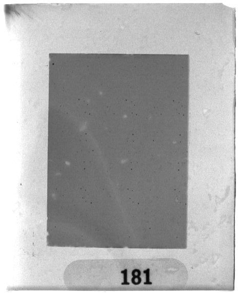 Scan PZT2181