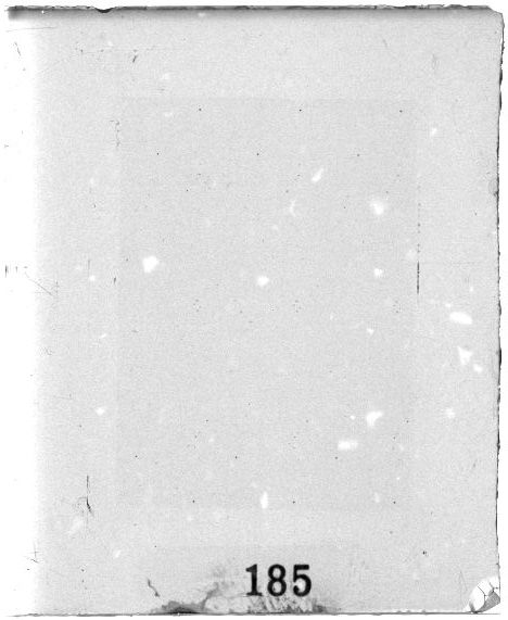 Scan PZT2185