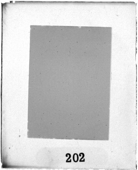 Scan PZT2202