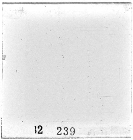 Scan PZT2239