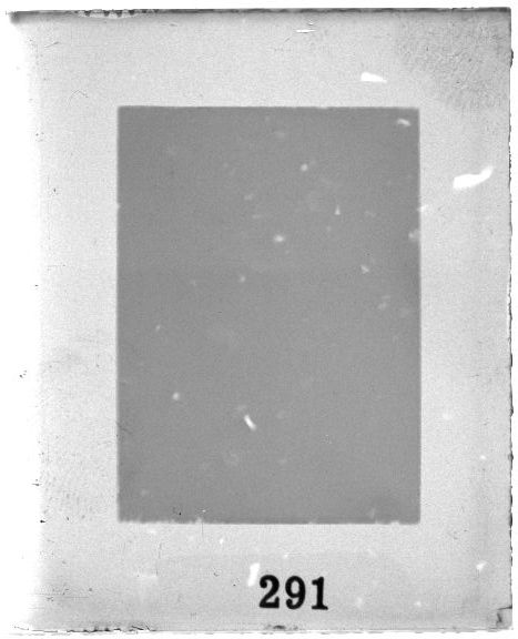 Scan PZT2291