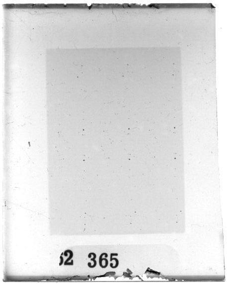 Scan PZT2365