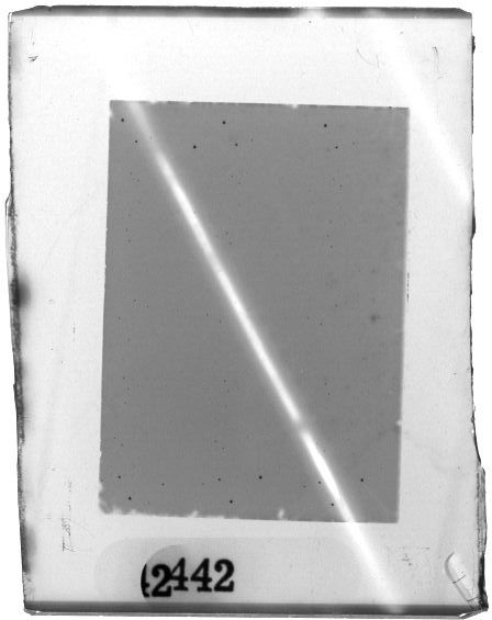Scan PZT2442