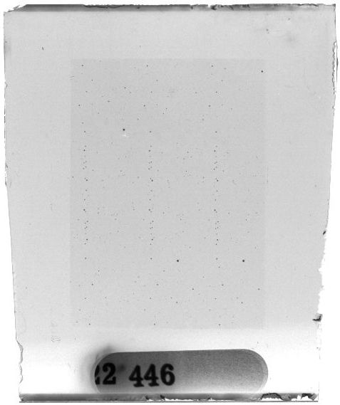 Scan PZT2446