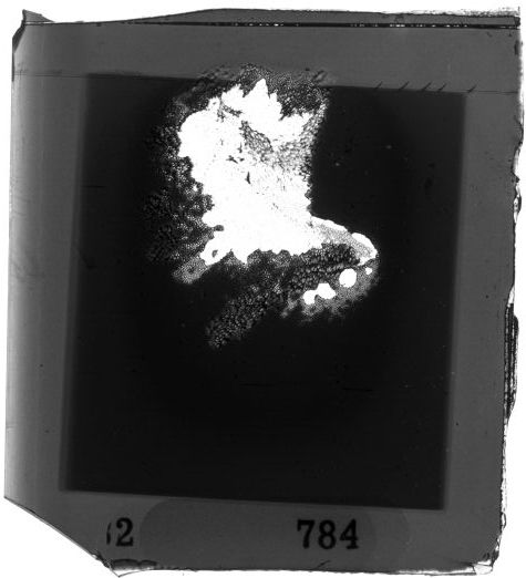 Scan PZT2784