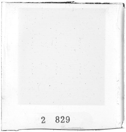 Scan PZT2829