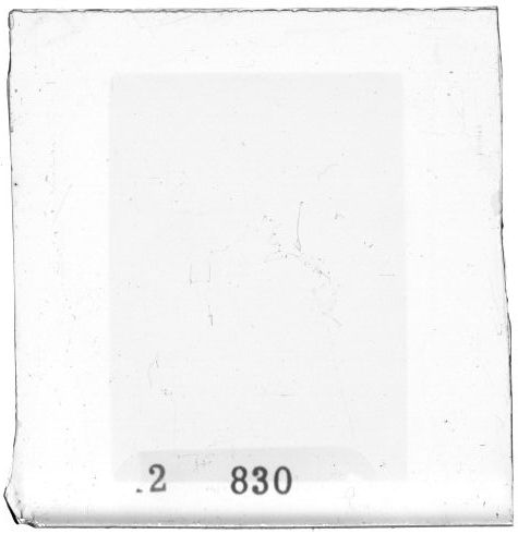 Scan PZT2830