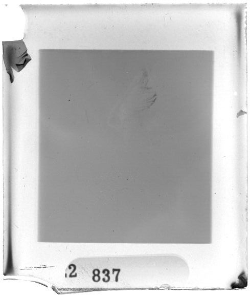 Scan PZT2837