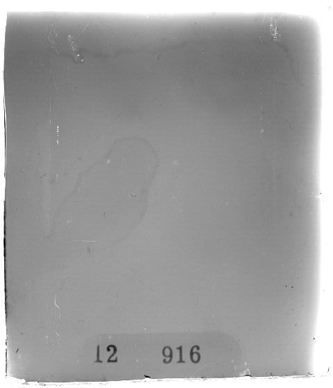Scan PZT2916