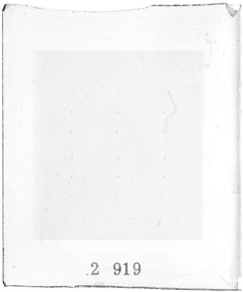 Scan PZT2919