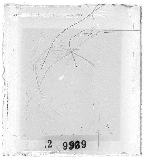 Scan PZT2939