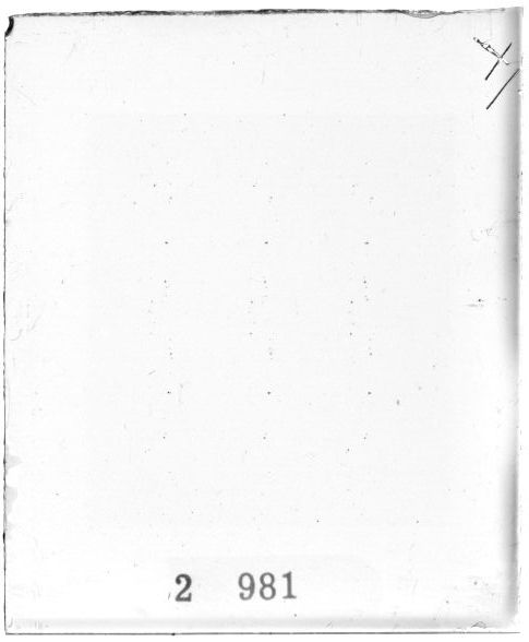 Scan PZT2981