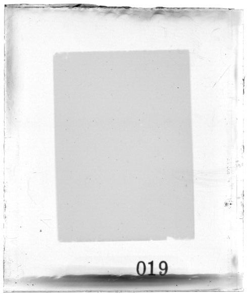 Scan PZT3019