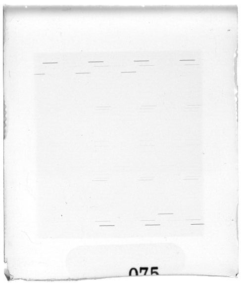 Scan PZT3075