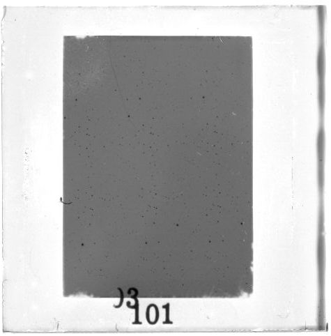 Scan PZT3101