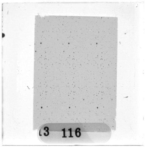 Scan PZT3116