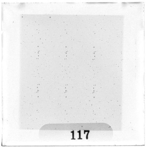 Scan PZT3117