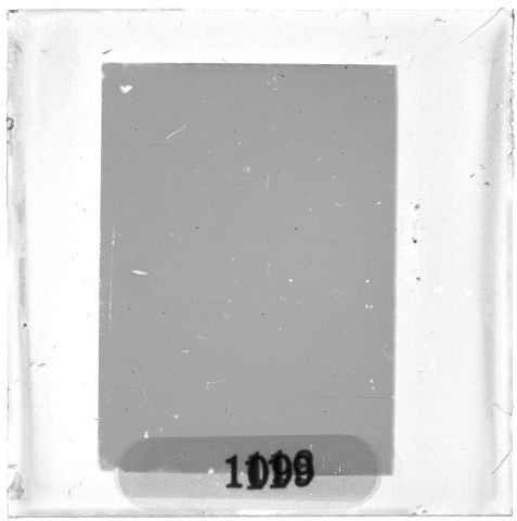 Scan PZT3118