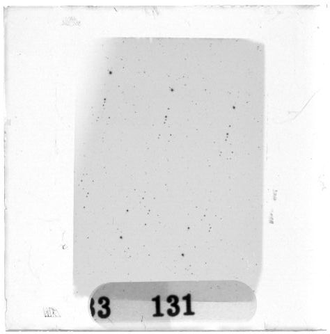 Scan PZT3131
