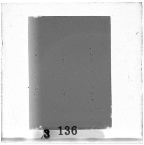 Scan PZT3136