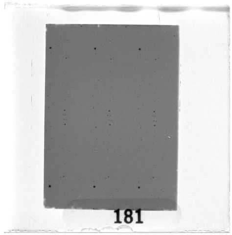 Scan PZT3181