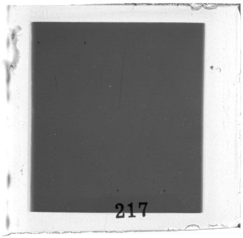 Scan PZT3217
