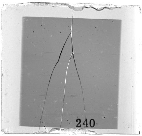 Scan PZT3240