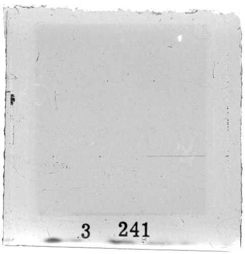 Scan PZT3241