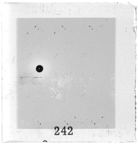 Scan PZT3242