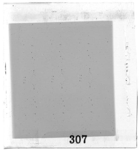 Scan PZT3307