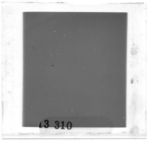 Scan PZT3310