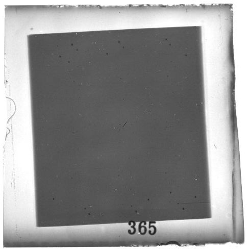 Scan PZT3365